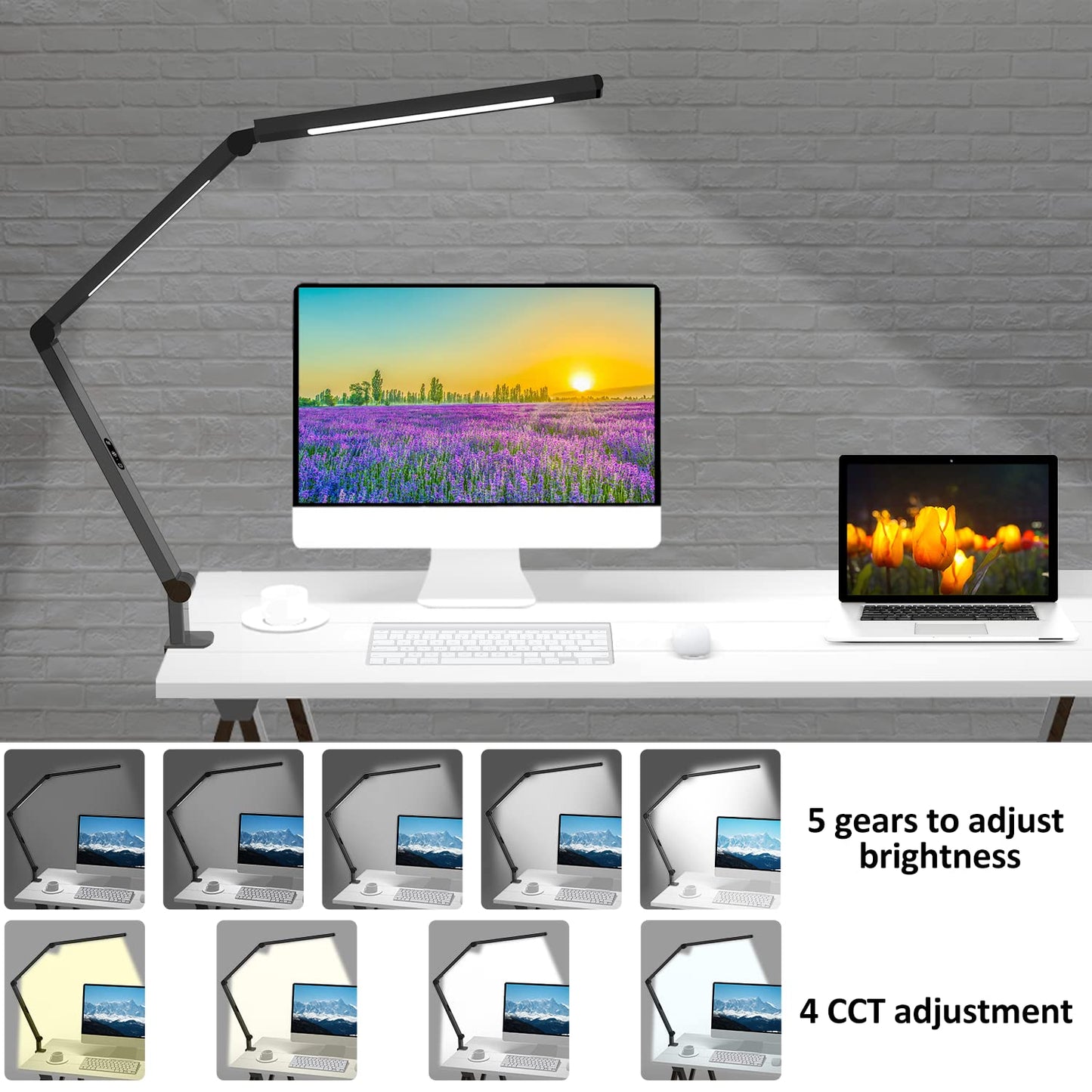 LED Desk Lamp with Clamp Architect Desk Lamp with Dual Light