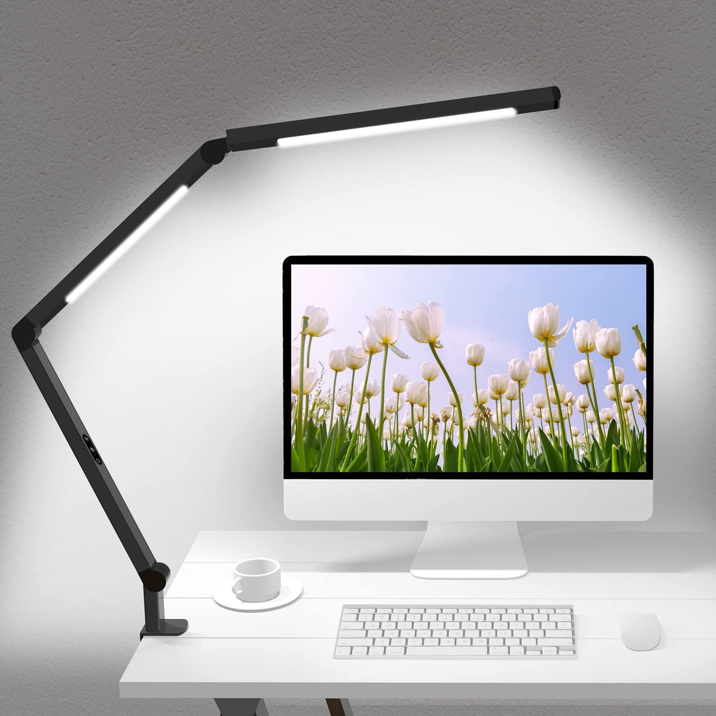 LED Desk Lamp with Clamp Architect Desk Lamp with Dual Light